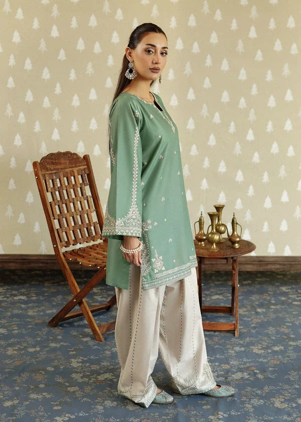 Unstitched 2 piece Fully Embroidered Dhanak Dress