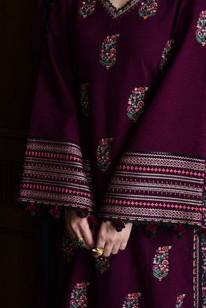 BT 2900 - 3 Piece Unstitched Embroidered Dhanak Fabric With Embroidered Dhanak Shawl