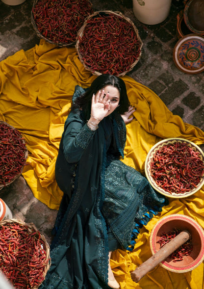 Unstitched 3 Piece Fully Embroidered Dhanak Suit with Embroidered Dhanak Shawl